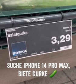 Gurke.jpg