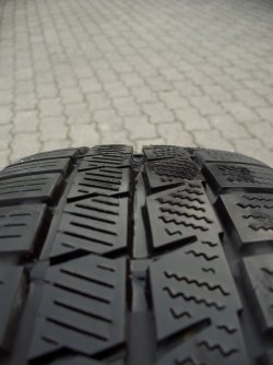 CIMG3843klein.jpg CIMG3843klein.jpg