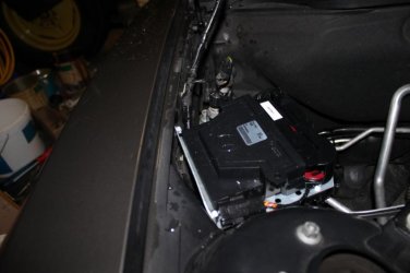 K800_IMG_3544.jpg