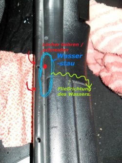 SDC13273.jpg