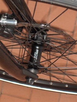 rad 013 (Medium).jpg