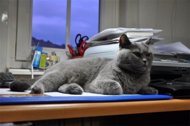 DSC_0011.jpg