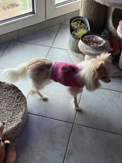 IMG_0960.jpeg IMG_0960.jpeg