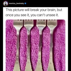 IMG_4876.jpeg