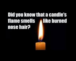 IMG_4926.jpeg