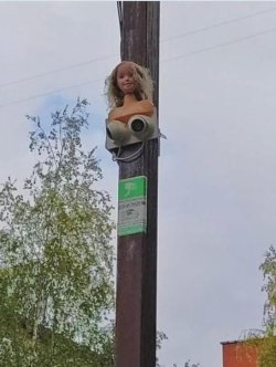 IMG_4931.jpeg