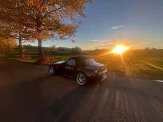 IMG_3784 Groß.jpeg
