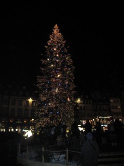 IMG_0148.jpg IMG_0148.jpg