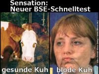 neuer-bse-test-thumbnail.jpg
