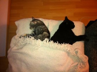Foto 3.JPG