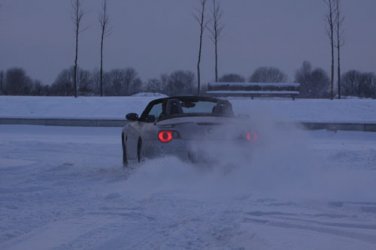 IMG_5069_1.jpg