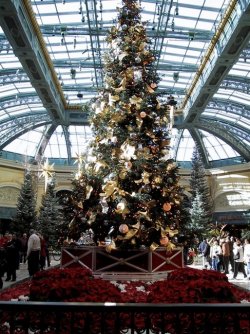 Las Vegas 2008.jpg