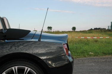 DSC_8378.jpg
