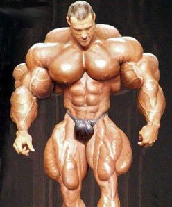 bodybuilder-25289.jpg