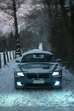 z4_147.jpg