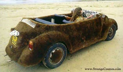 Beach mobile.jpg