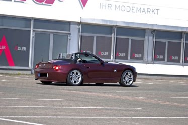 DSC_0230cF.jpg