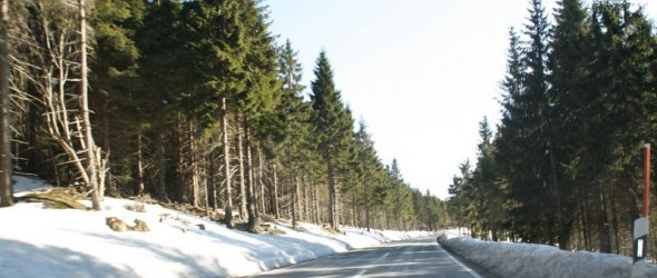 IMG_0386_800x339.JPG
