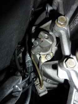 Getriebeeinbau 008.jpg Getriebeeinbau 008.jpg