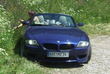 Blümchenpflücker.jpg