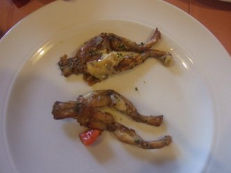 DSCF5331.jpg