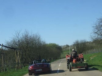 DSCF5268.jpg