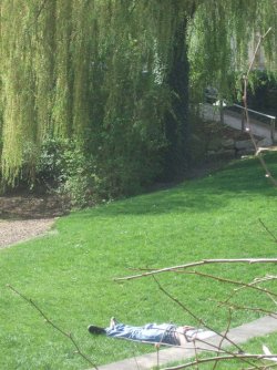 DSCF5315.jpg