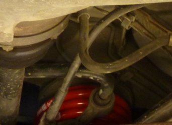 Feder_hinten.jpg Feder_hinten.jpg