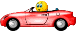 smilie_car_072.gif