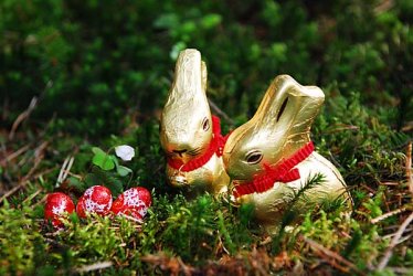 frohe_ostern.jpg