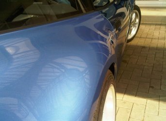 IMG00040-20110503-1235 (2).jpg