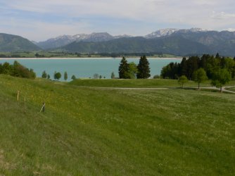 2011.05.07 024.jpg