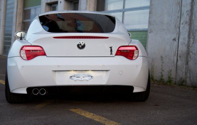 z4_1.jpg