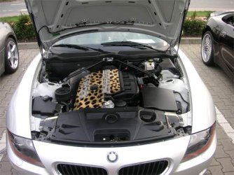 motor.jpg