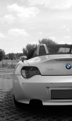 BMW Z4 4-2.jpg