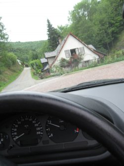 IMG_0558a.jpg