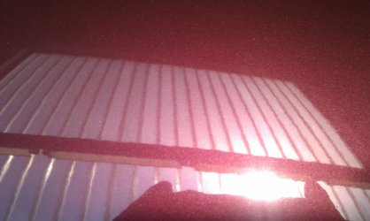 IMAG0155.jpg