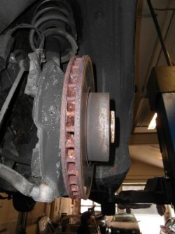 rost.jpg