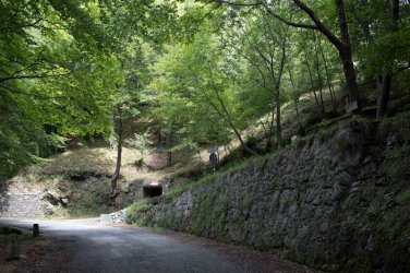 2011.07.18. Garda 033.jpg