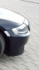 katzenauge 2.jpg