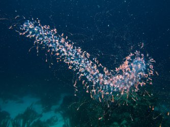 Caracao & Bonaire-186.jpg