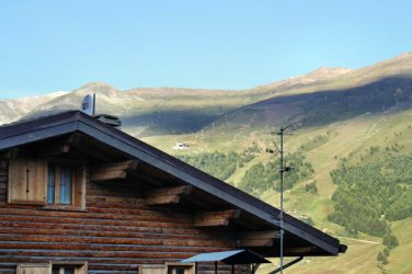 IMG_1831.jpg