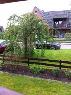 Foto 2(2).JPG