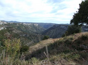 DSCF3339.JPG