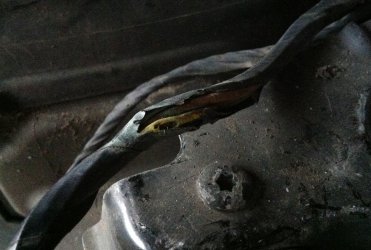 z4_xenon_kabel.jpg z4_xenon_kabel.jpg