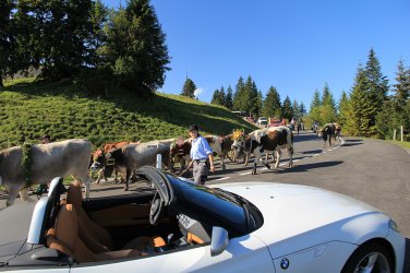 Beachtung.jpg Beachtung.jpg