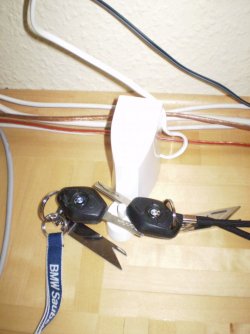 P1060001.JPG