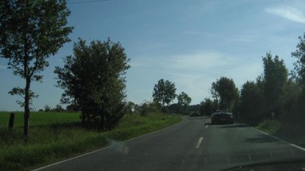 IMG_4005.JPG