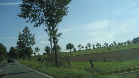 IMG_4006.JPG