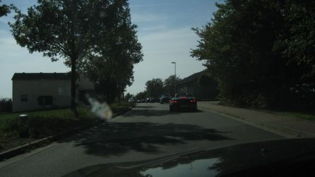 IMG_4007.JPG